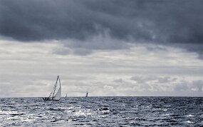 2023-03-25-0021_bearbeitet-1 null