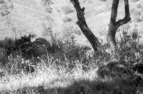 2023-03-16-0040_bearbeitet-1 null