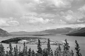 Alaska null