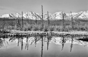 Alaska null
