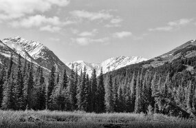 Alaska null