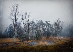 PXL_20250121_133435887.RAW-02.ORIGINAL_bearbeitet-2_genErase_ts2 project null