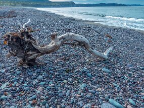P1050832-1_bearbeitet-1 null