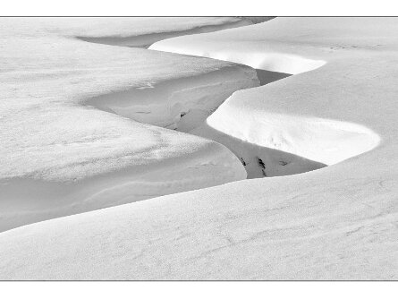 B+W digital